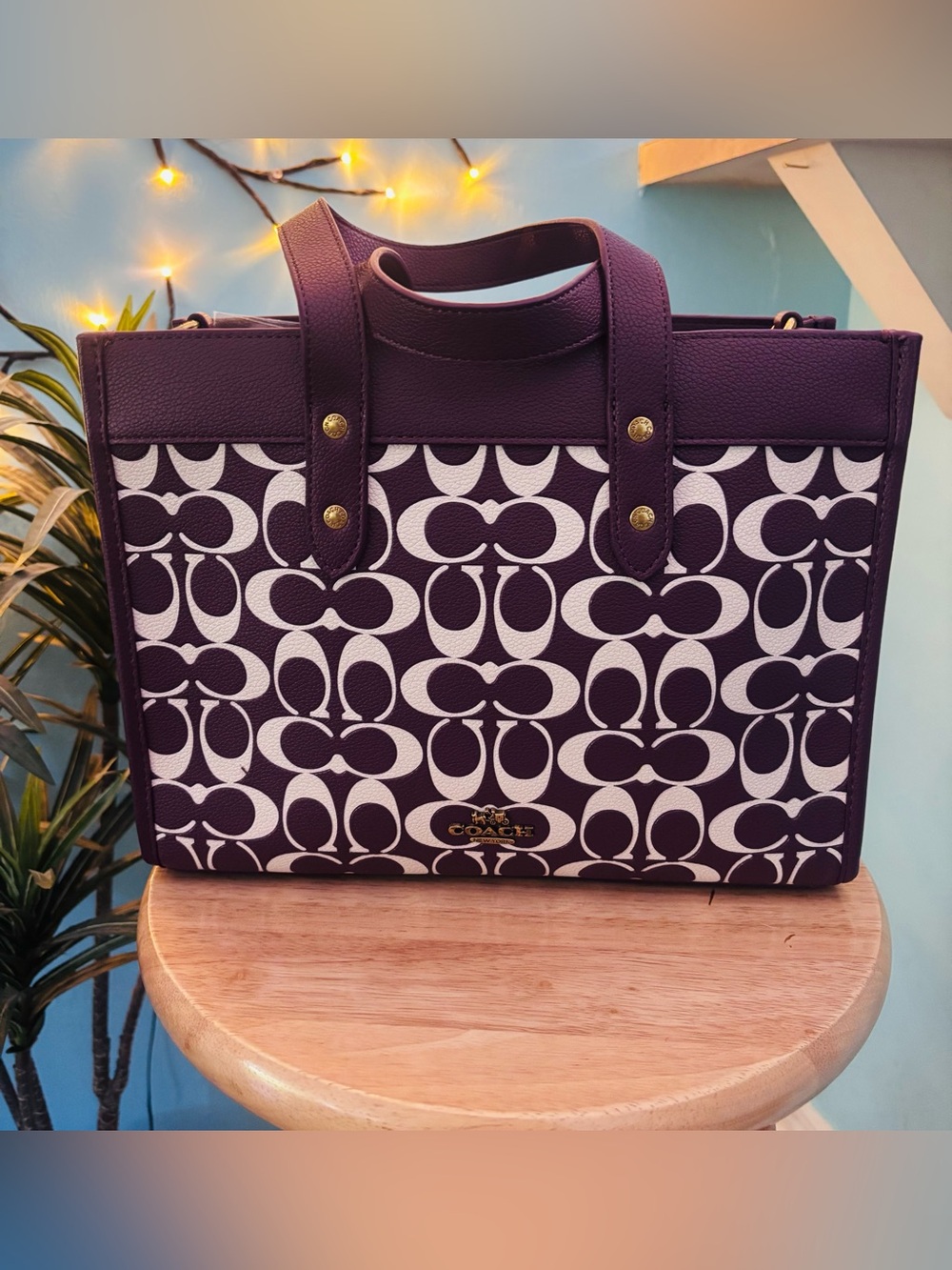 Coach Oxblood Signature Leather Field Tote Bag